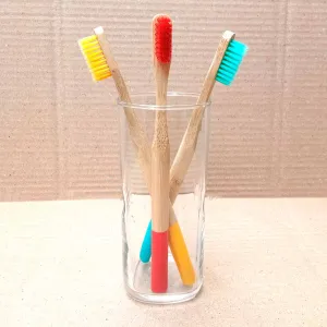 Bamboo Toothbrushes