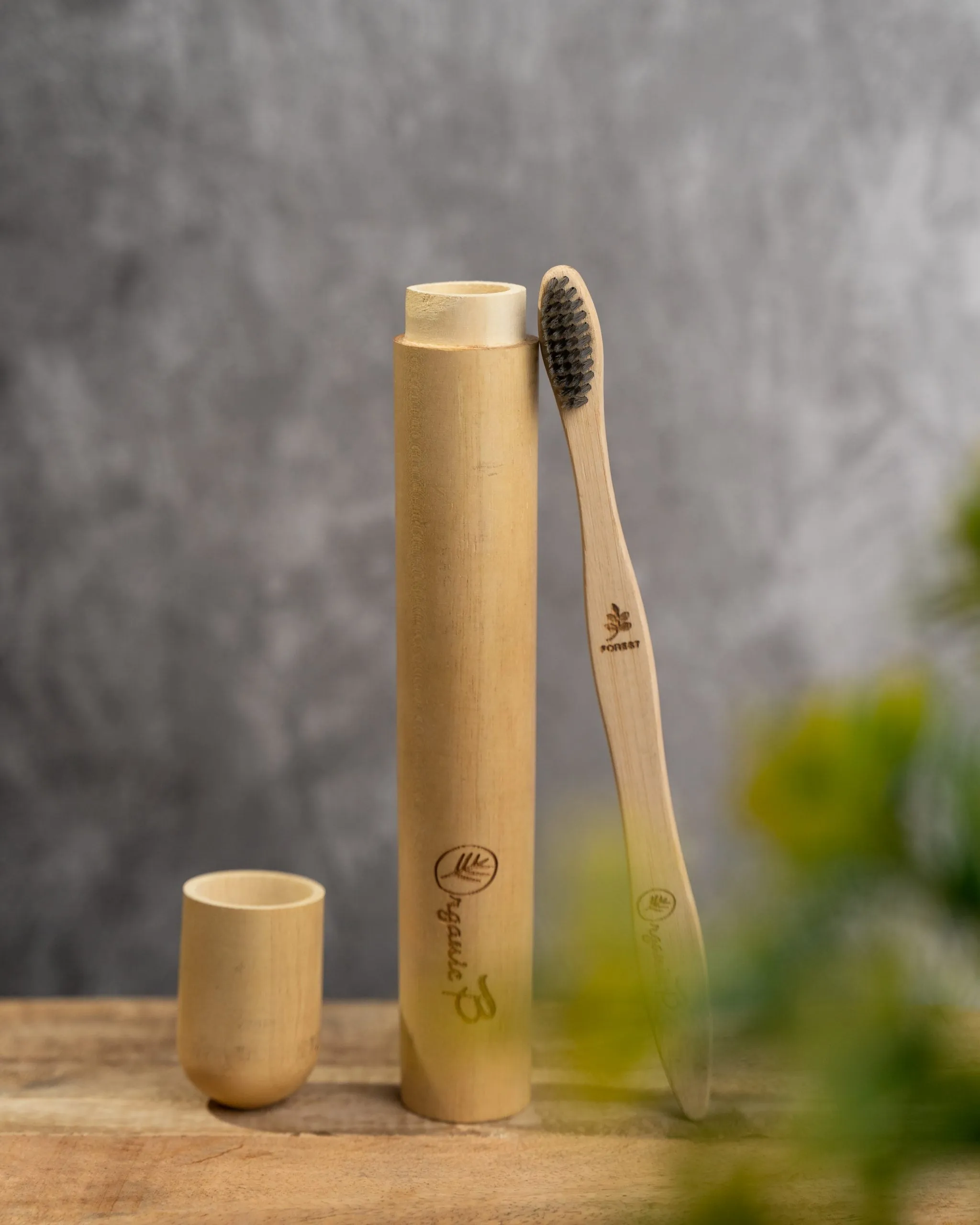 Eco Friendly Travel Case with Bamboo Charcoal Toothbrush