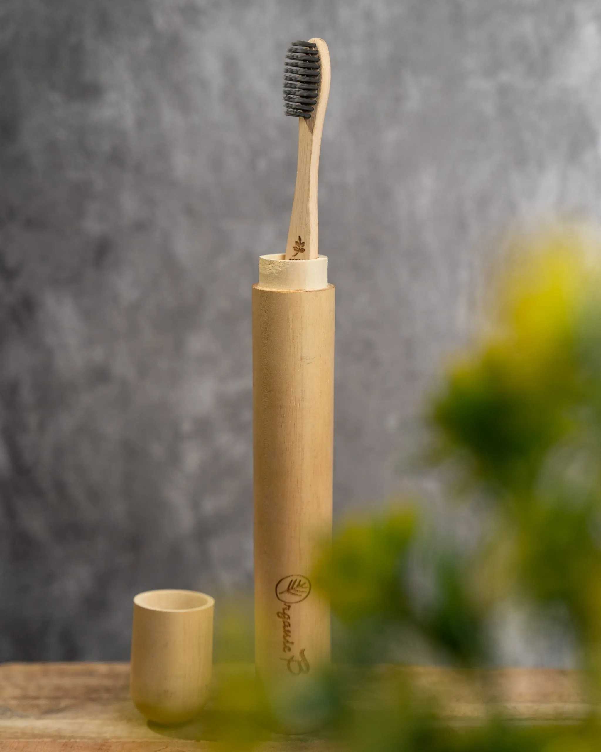 Eco Friendly Travel Case with Bamboo Charcoal Toothbrush