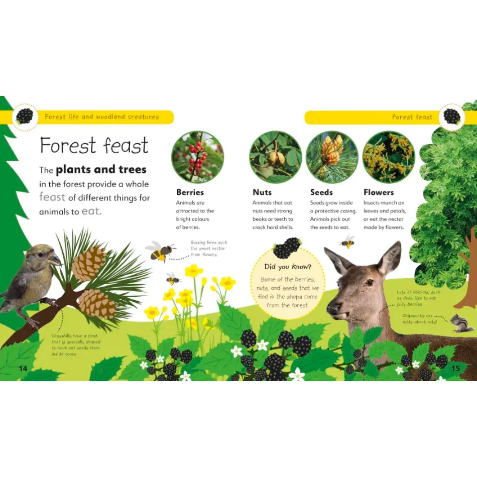 Forest Life and Woodland Creatures: Projects to Make and Do