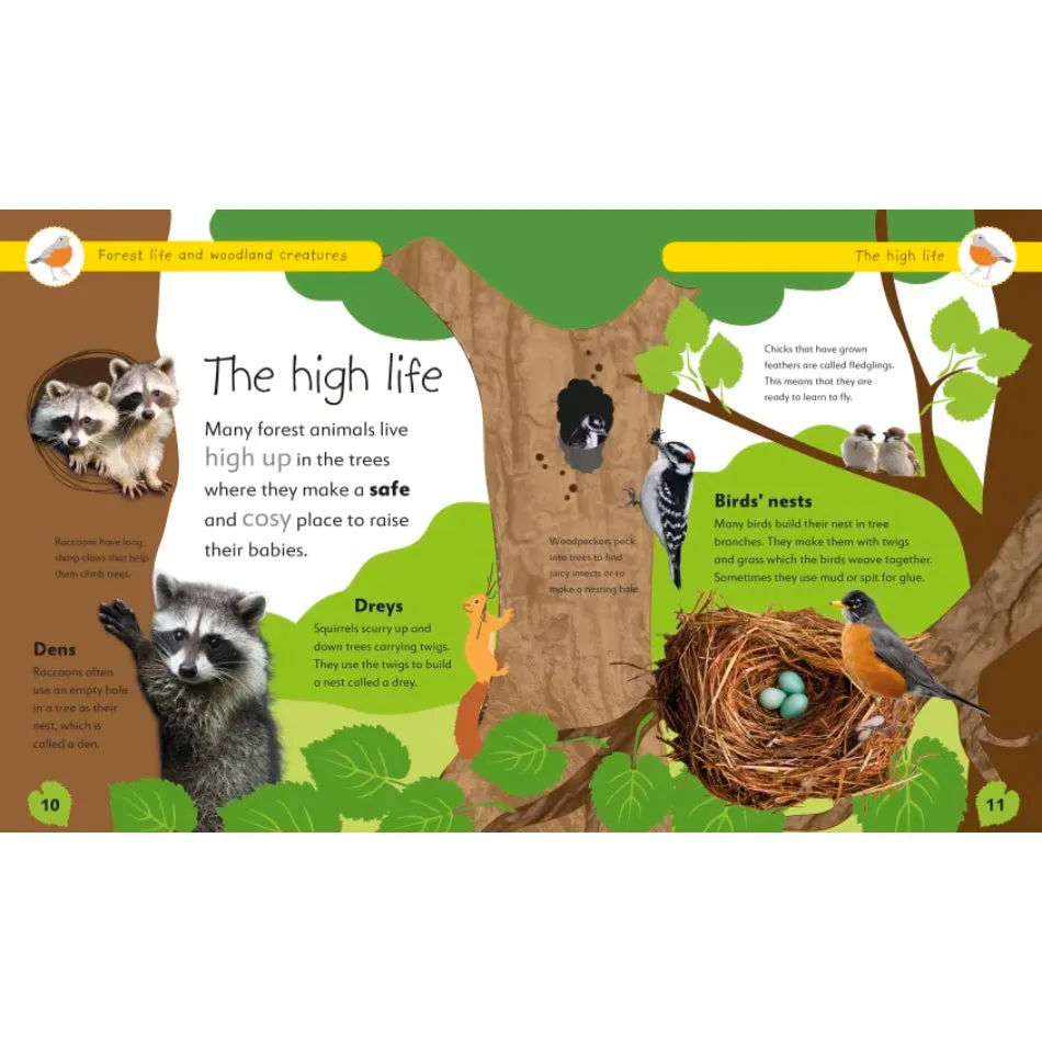 Forest Life and Woodland Creatures: Projects to Make and Do