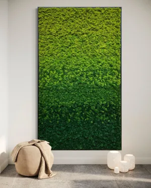 Gradient Ombre Preserved Moss Art