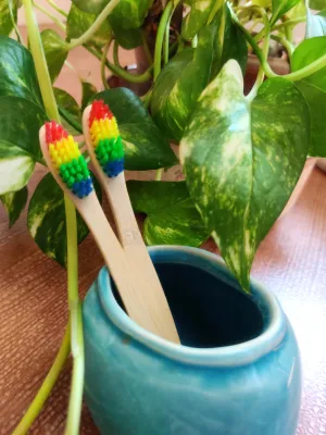 Natural bamboo toothbrush | rainbow bristles | pack of 2 for adult