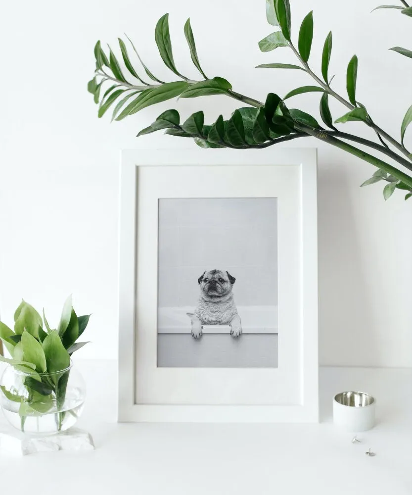 Pug In Bathtub Black And White Print PRINTABLE WALL ART, Pets In Bathtub, Bathroom Art Print, Black & White Glam Decor, Dog Gift, Pug Wall Art