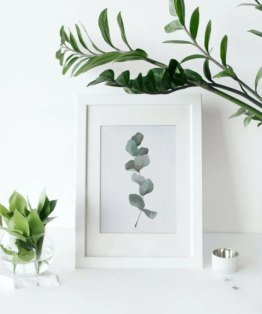 Sage Green Eucalyptus Wall Art Set Of 3 PRINTABLE ART, Botanical Wall Art, Boho Room Decor, Sage Green Wall Prints