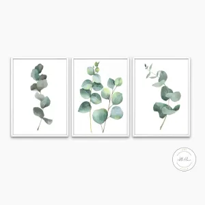 Sage Green Eucalyptus Wall Art Set Of 3 PRINTABLE ART, Botanical Wall Art, Boho Room Decor, Sage Green Wall Prints